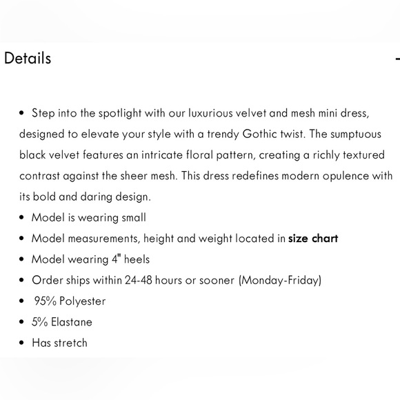 MOVING SALE!!$15!!Velvet Mesh Mini Dress - Picture 5 of 8